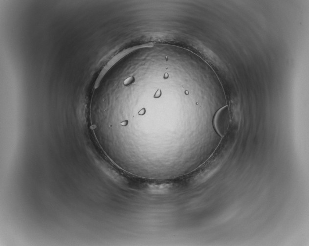 X0000110320450200905211530