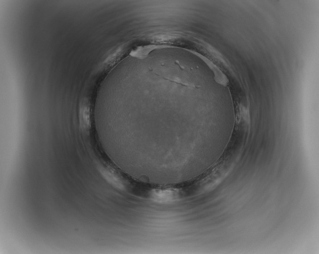 X0000110320452200905211530