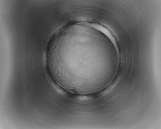 X0000110320453200905211530