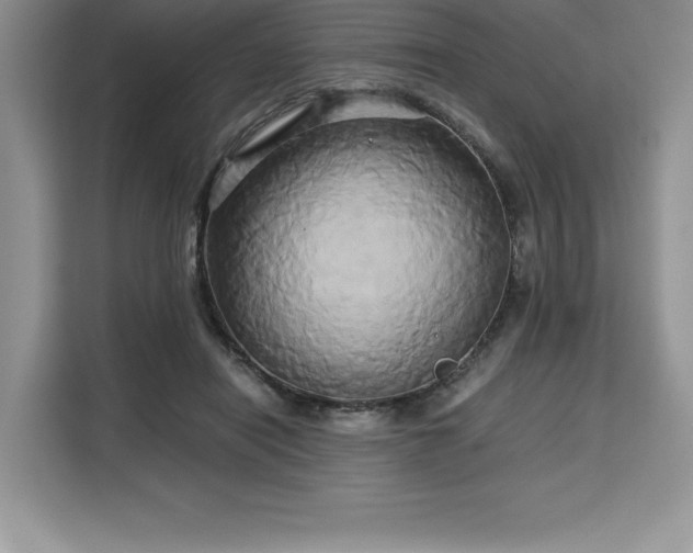 X0000110320454200905211530