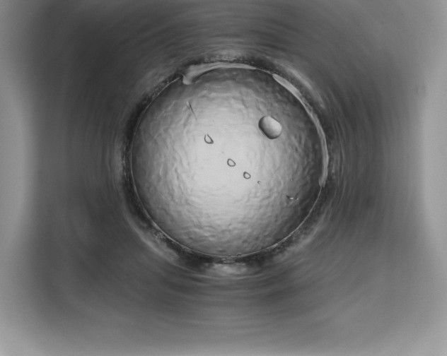 X0000110320455200905211530