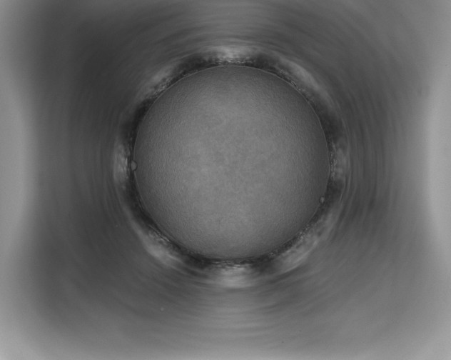 X0000110320456200905211530