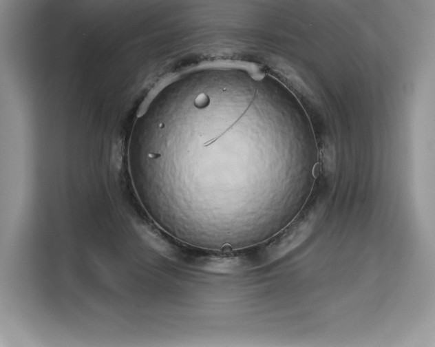 X0000110320458200905211530