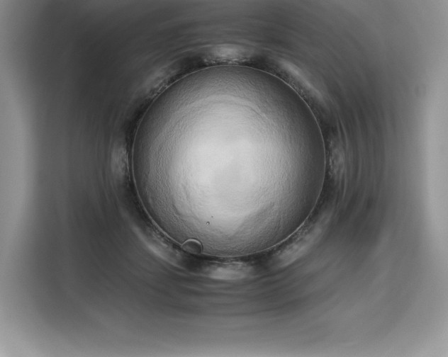 X0000110320459200905211530