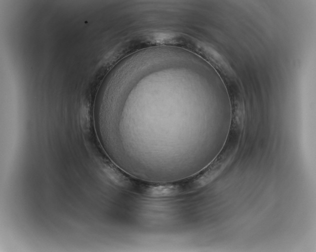 X0000110320461200905211530