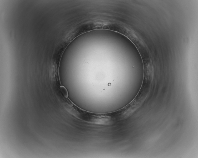 X0000110320463200905211530