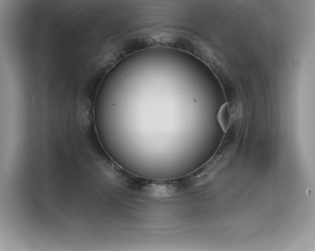 X0000110320464200905211530