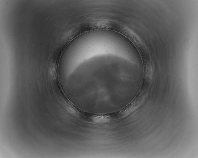 X0000110320465200905211530