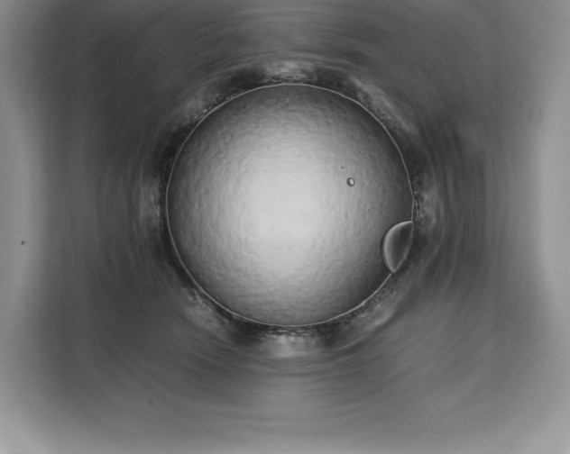 X0000110320466200905211530