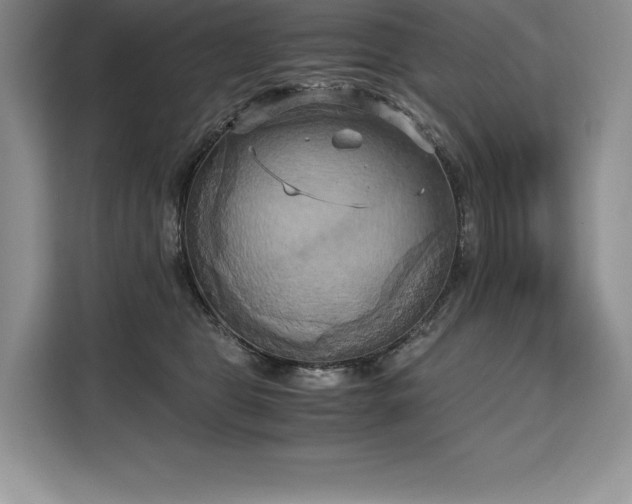 X0000110320469200905211530