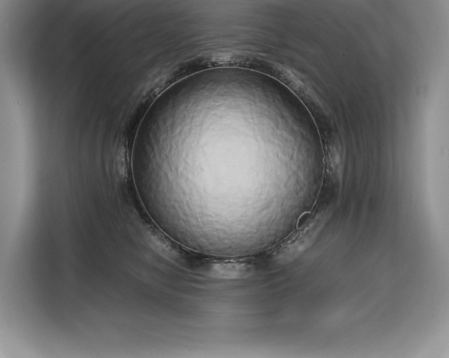 X0000110320470200905211530