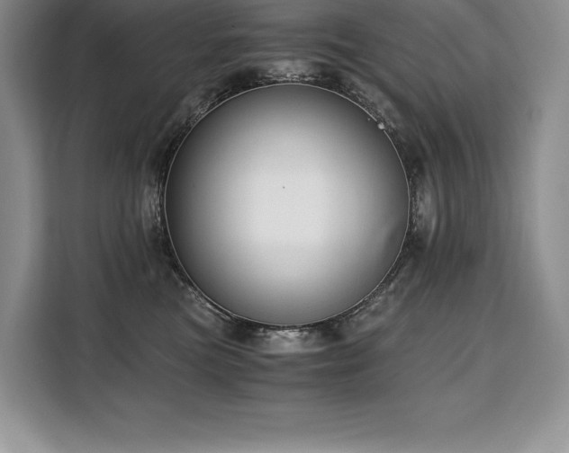 X0000110320473200905211530
