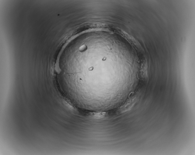 X0000110320474200905211530