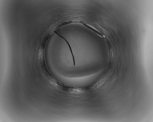 X0000110320475200905211530