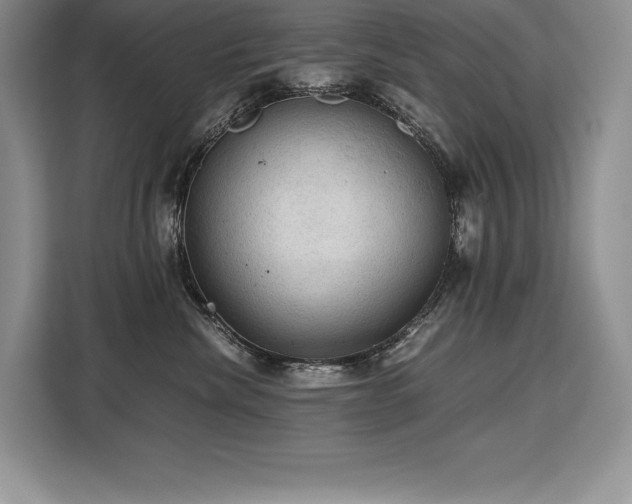 X0000110320476200905211530