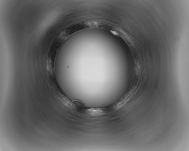 X0000110320477200905211530