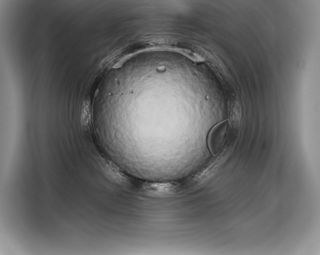 X0000110320478200905211530