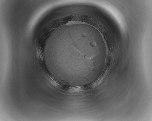 X0000110320479200905211530