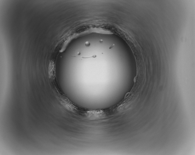 X0000110320480200905211530