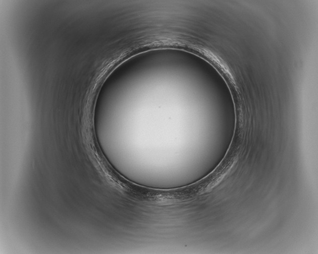 X0000110320481200905211529