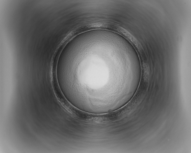 X0000110320482200905211529
