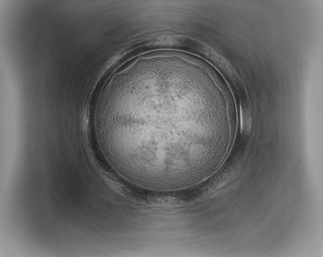 X0000110320483200905211529