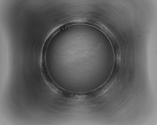 X0000110320484200905211529