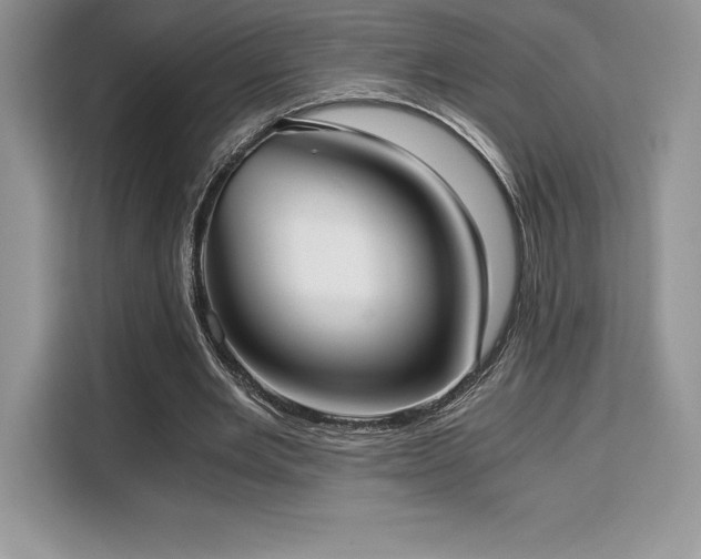 X0000110320485200905211529