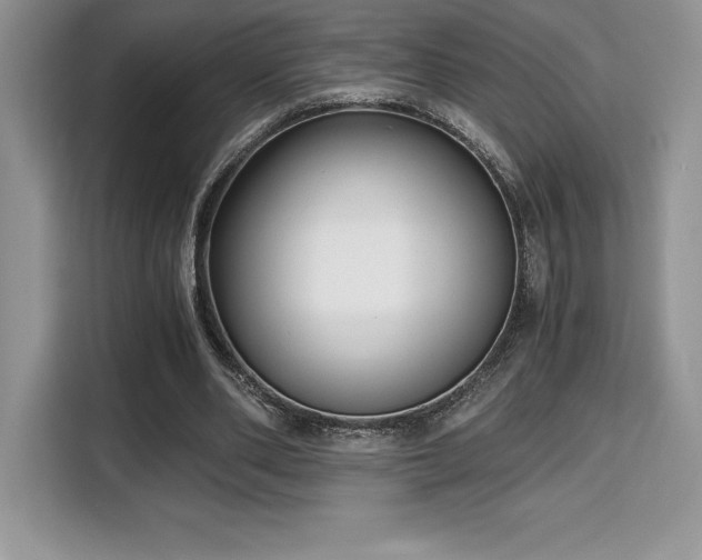 X0000110320486200905211529