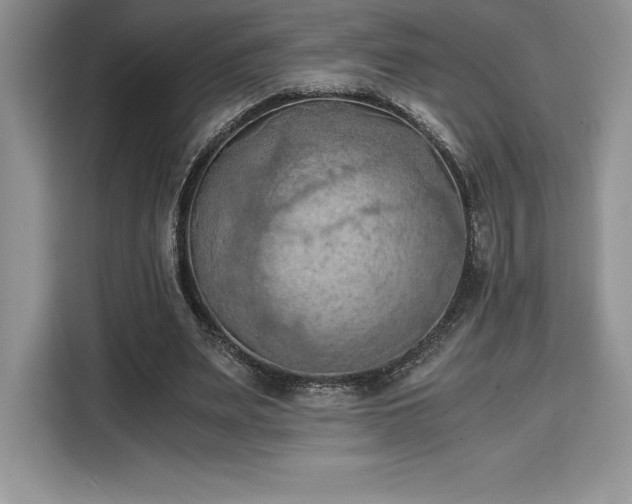 X0000110320487200905211529