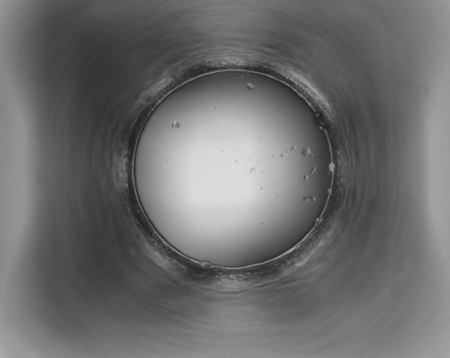 X0000110320489200905211529