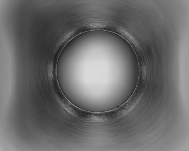 X0000110320490200905211529
