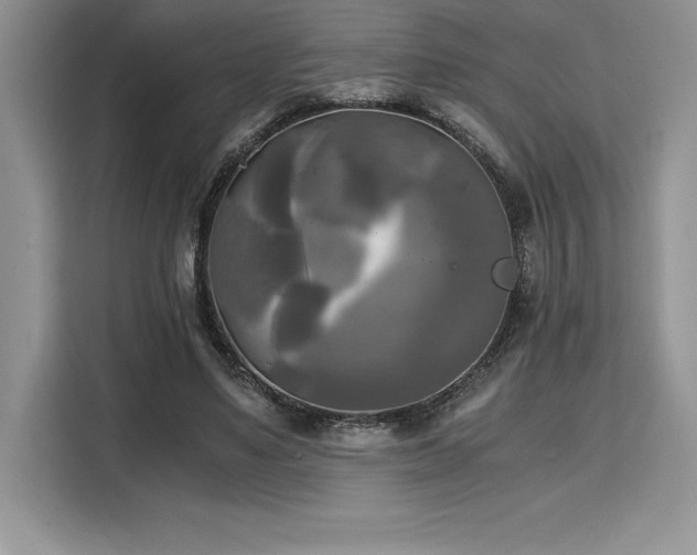 X0000110320491200905211529