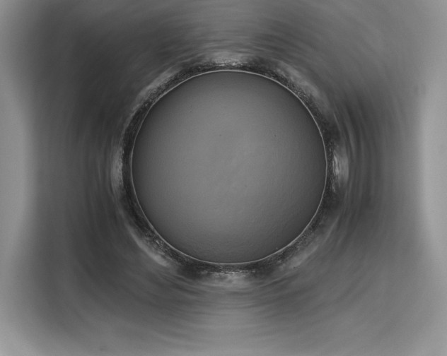 X0000110320492200905211529