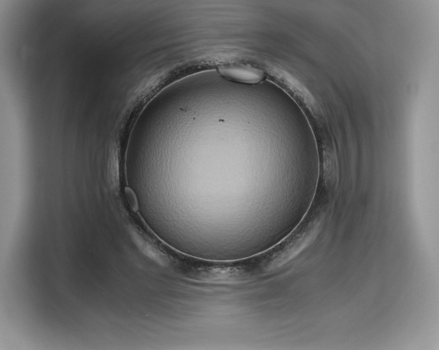 X0000110320493200905211529