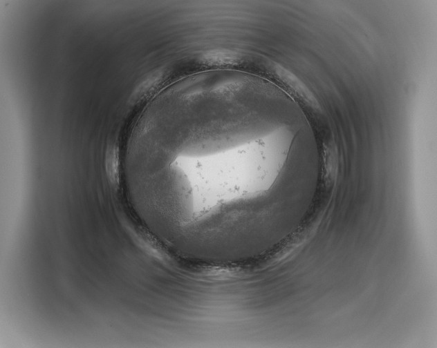 X0000110320494200905211529