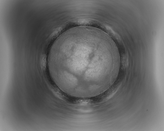 X0000110320495200905211529