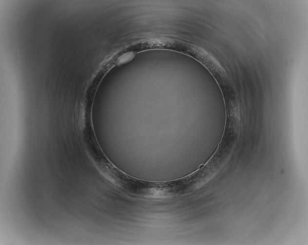 X0000110320496200905211529