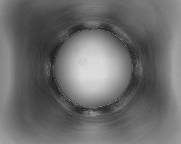 X0000110320498200905211529