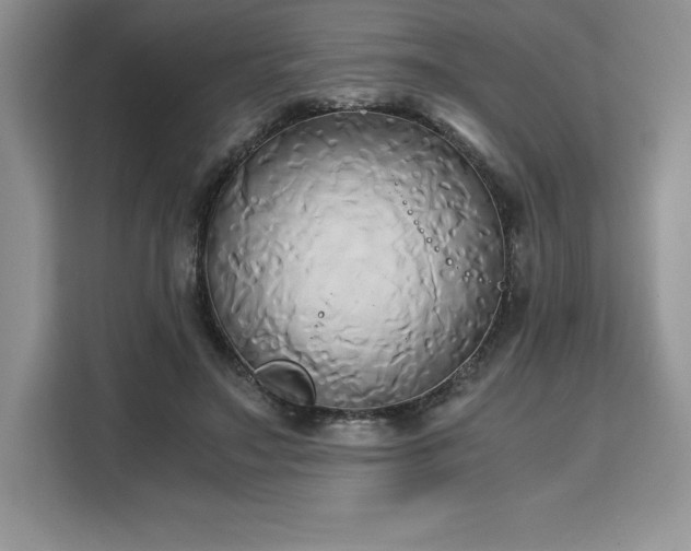 X0000110320499200905211529