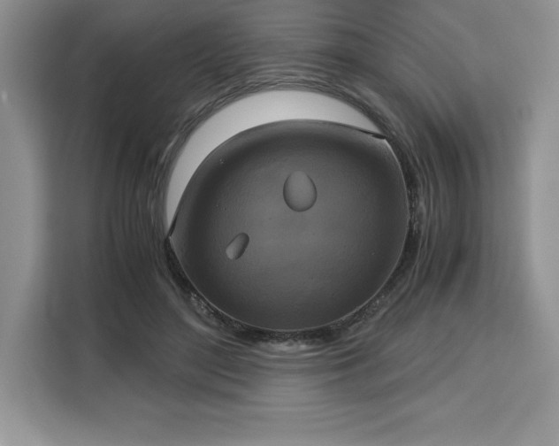 X0000110320500200905211529