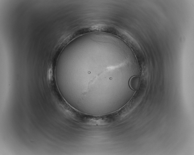 X0000110320502200905211529
