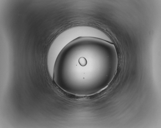 X0000110320505200905211529