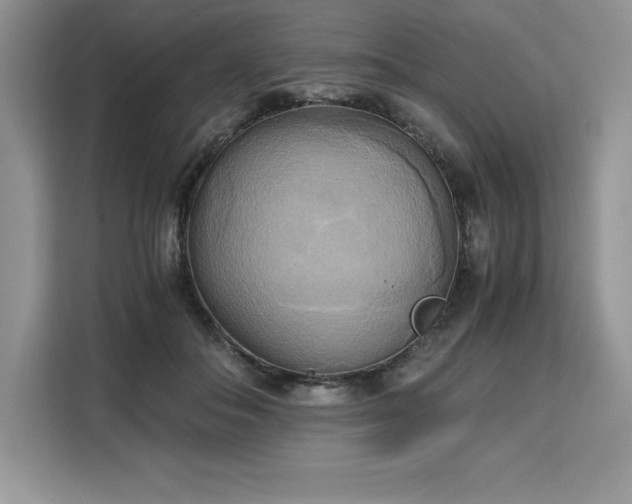 X0000110320506200905211529