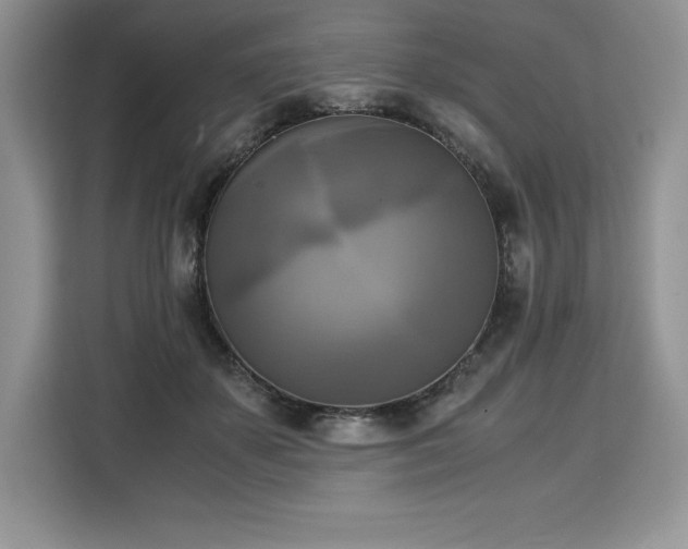 X0000110320507200905211529