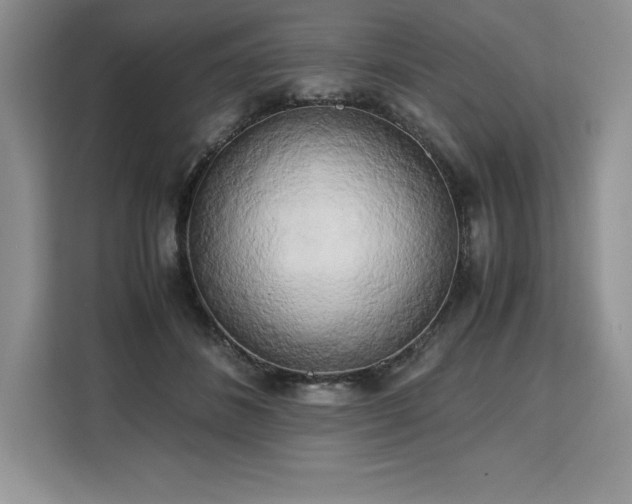 X0000110320508200905211529