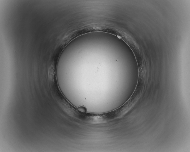 X0000110320509200905211529