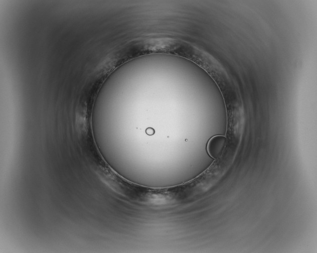 X0000110320510200905211529