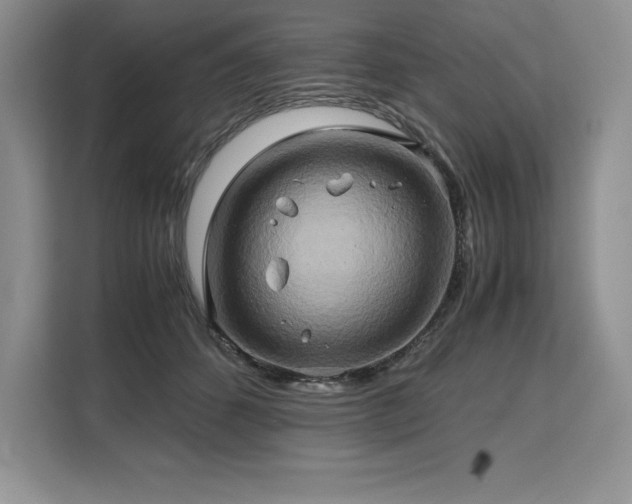 X0000110320512200905211529