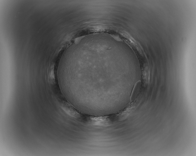 X0000110320516200905211529